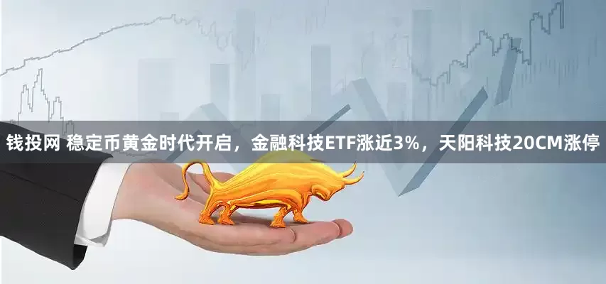 钱投网 稳定币黄金时代开启，金融科技ETF涨近3%，天阳科技20CM涨停