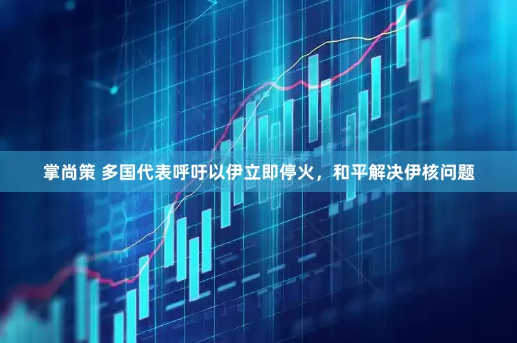 掌尚策 多国代表呼吁以伊立即停火，和平解决伊核问题