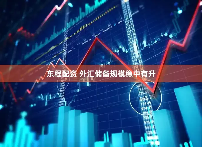 东程配资 外汇储备规模稳中有升